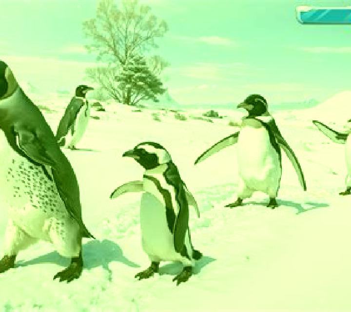 Fu Er Dai screenshot 2