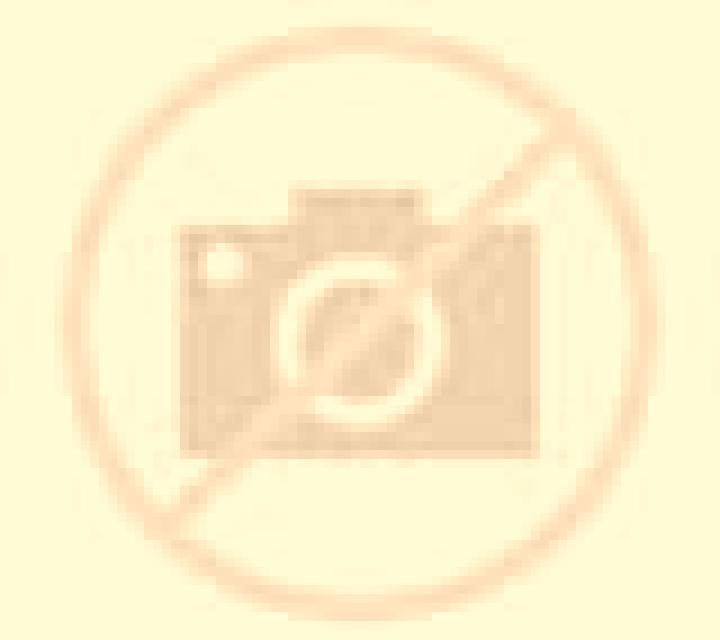 WP Bonus Texas: 1 Reel Queen of the Forest Deluxe